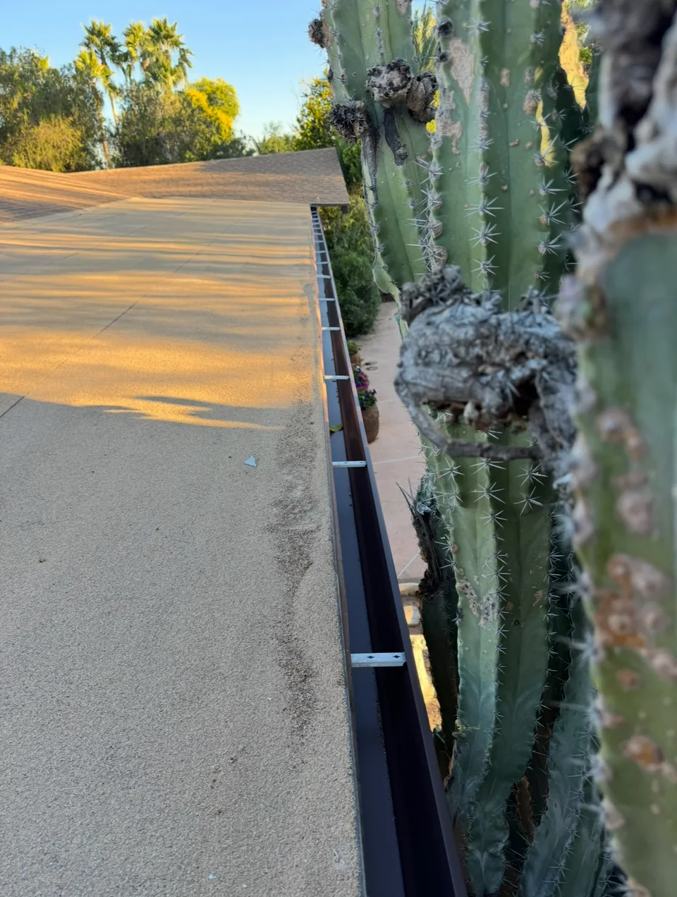 A gutter guard installed along a roof edge beside a saguaro