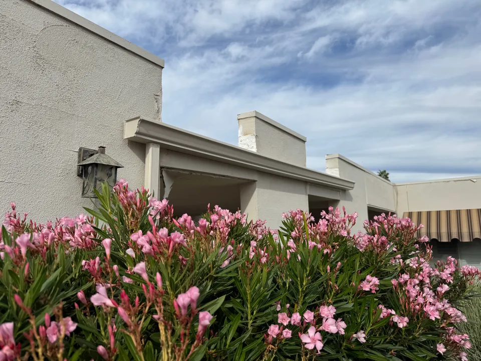 Seamless gutters on a stucco home with parapet walls and oleanders in bloom